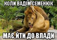 коли вадім семенюк має йти до влади