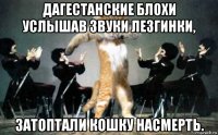 дагестанские блохи услышав звуки лезгинки, затоптали кошку насмерть.