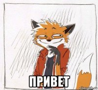  привет