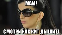 мам! смотри как кит дышит!