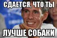 сдается, что ты лучше собаки
