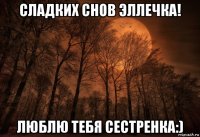 сладких снов эллечка! люблю тебя сестренка:)