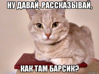 ну давай, рассказывай, как там барсик?