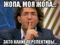 жопа, моя жопа... зато какие перспективы...