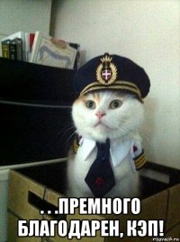  . . .премного благодарен, кэп!
