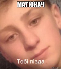 матюкач 