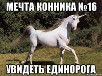 мечта конника №16 увидеть единорога