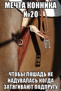 мечта конника №20 чтобы лошадь не надувалась когда затягивают подпругу