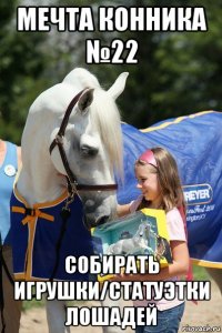 мечта конника №22 собирать игрушки/статуэтки лошадей