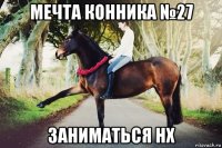 мечта конника №27 заниматься нх