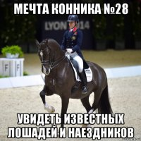 мечта конника №28 увидеть известных лошадей и наездников