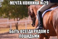 мечта конника №29 быть всегда рядом с лошадьми