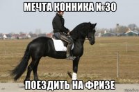 мечта конника №30 поездить на фризе