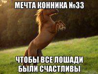 мечта конника №33 чтобы все лошади были счастливы