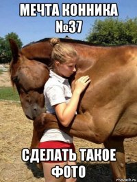 мечта конника №37 сделать такое фото