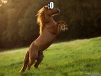 :0 