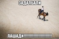 задалбали лашади!!!!!!!!!!!!!!!!!!!!!!!