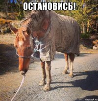 остановись! 