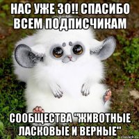 нас уже 30!! спасибо всем подписчикам сообщества "животные ласковые и верные"