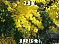 3 дня до весны
