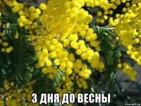  3 дня до весны