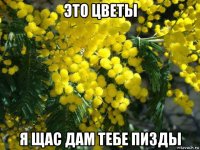 это цветы я щас дам тебе пизды