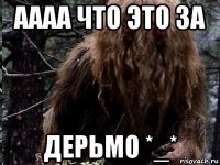 аааа что это за дерьмо *_*