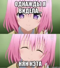 однажды я видела... нян кэта
