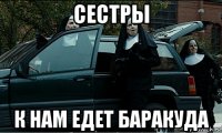 сестры к нам едет баракуда