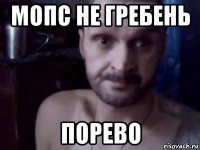 мопс не гребень порево