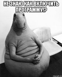 не знаю как включить программу!? 