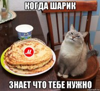 когда шарик знает что тебе нужно