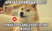 кричал о помощи в лесу пришёл продавец консултант м.видео