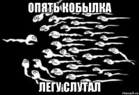 опять кобылка легу слутал
