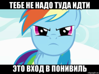 тебе не надо туда идти это вход в понивиль