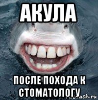 акула после похода к стоматологу