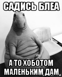 садись блеа а то хоботом маленьким дам