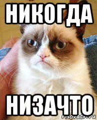 никогда низачто