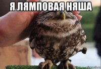 я лямповая няша 