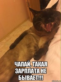  чапай, такая зарплата не бывает!!!