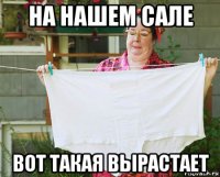 на нашем сале вот такая вырастает