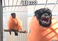 чего??? 
