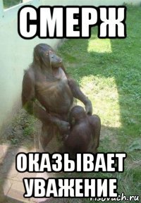 смерж оказывает уважение
