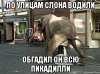 по улицам слона водили обгадил он всю пикадилли