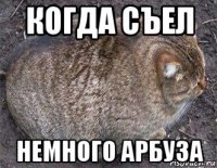 когда съел немного арбуза