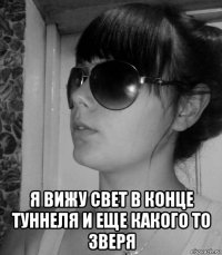  я вижу свет в конце туннеля и еще какого то зверя