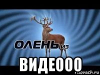  видеооо