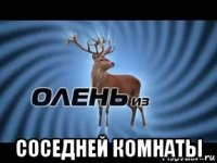  соседней комнаты