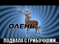  подвала с грибочками