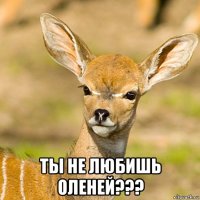  ты не любишь оленей???